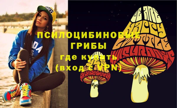 гидра Баксан